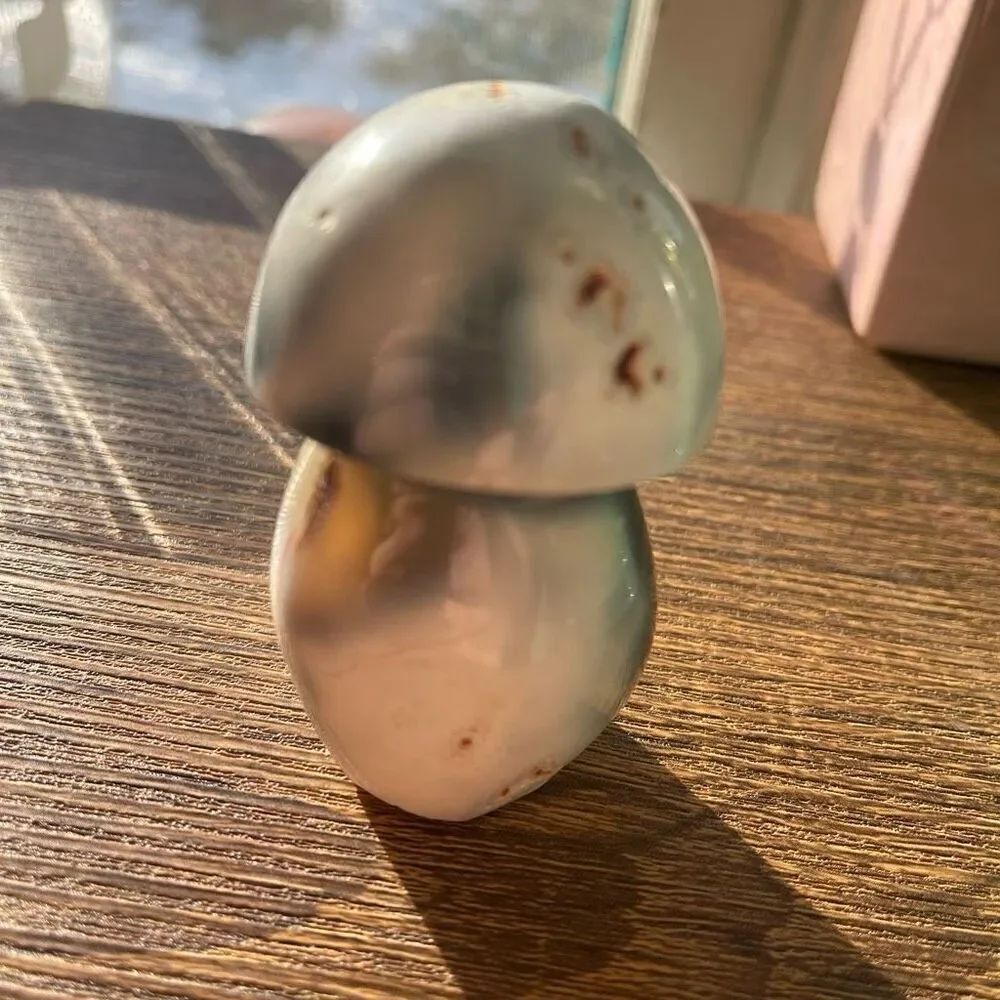 Orca agate mushroom carving crystal druzy black mostly white